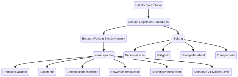 Het Bitcoin Protocol Infographic